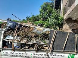 Best Recycling Services for Junk  in Leona Valley, CA